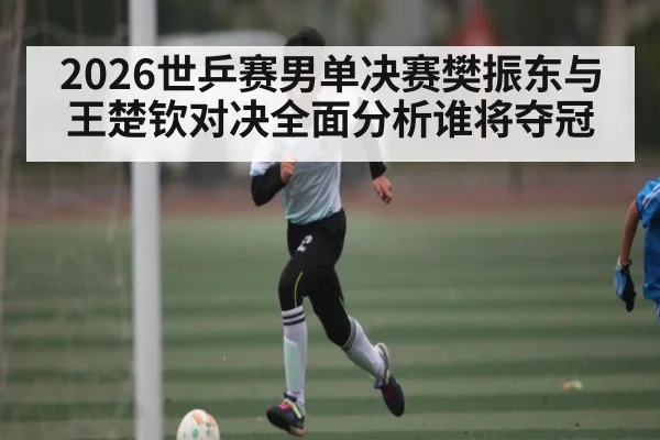 2026世乒赛男单决赛樊振东与王楚钦对决全面分析谁将夺冠 | Starrysky Spor